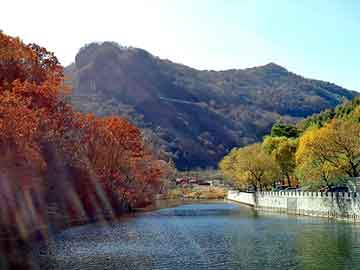 澳门精准大全正版网站，四川海峡钓鱼网